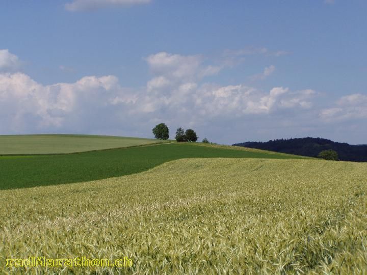 29.06.05 007.jpg